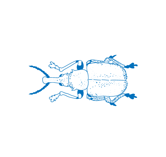 Grafik zeigt ein Tier im handgezeichneten Stil