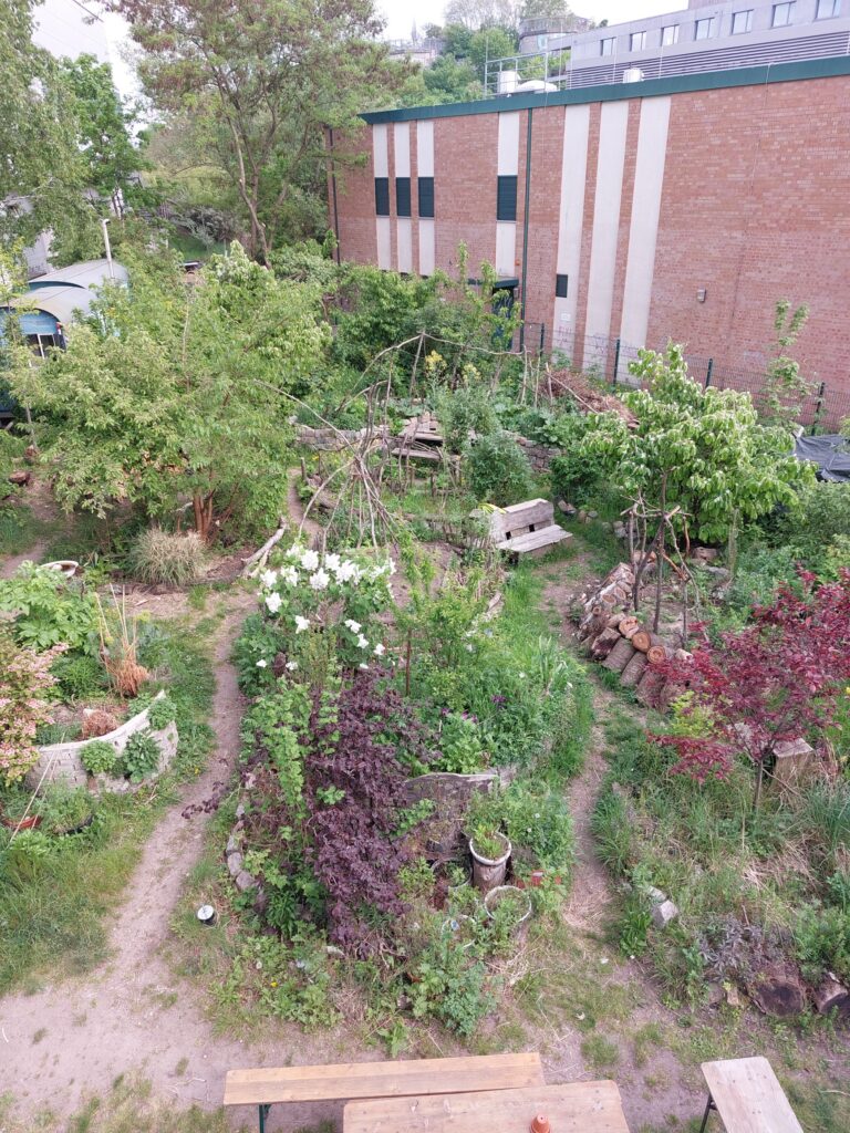 Blick auf den LobeBlock-Garten